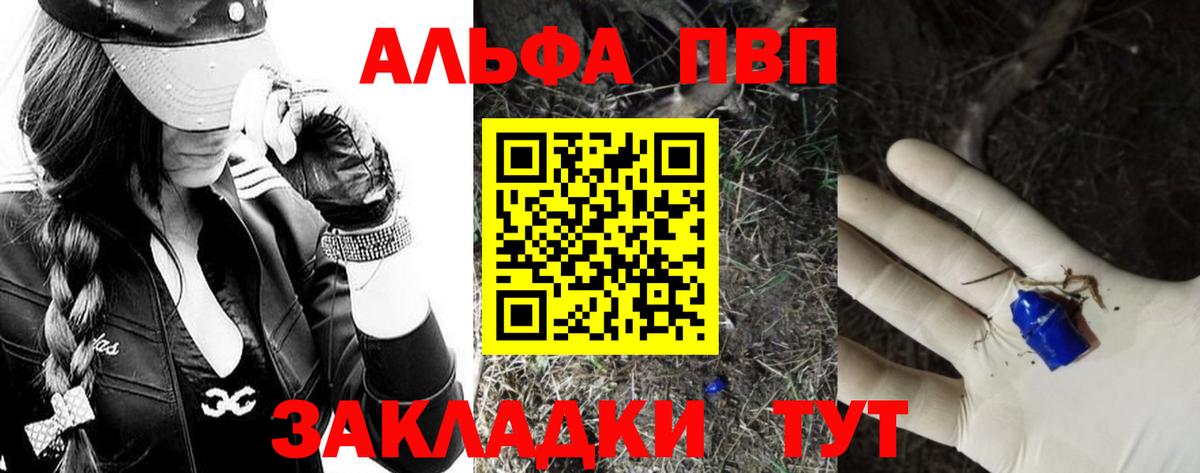 Alfa_PVP СК Мурманск
