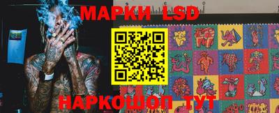 гидропоника Ставрополь