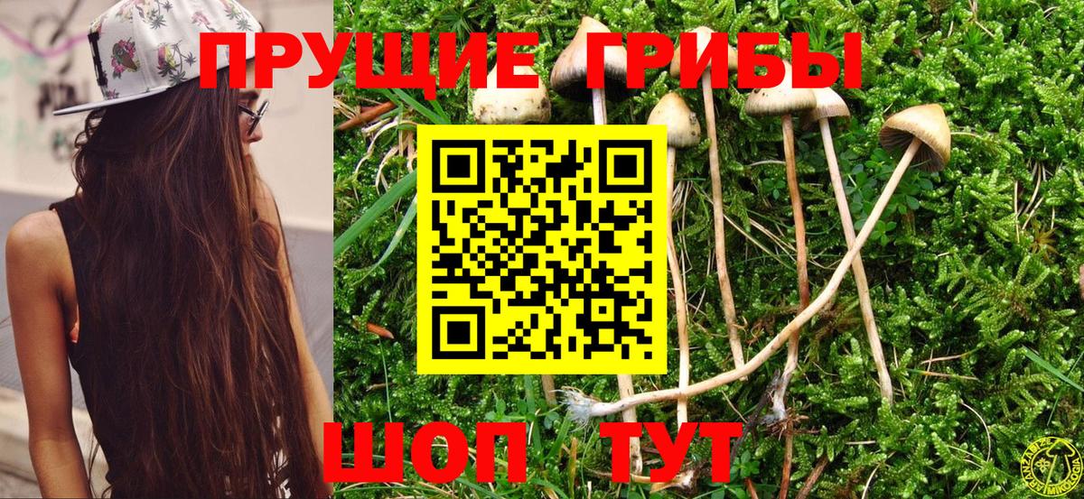 Мурманск  Галлюциногенные грибы мухоморы  Вход с VPN 